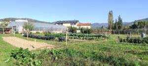 intitolazione Casa di Gello